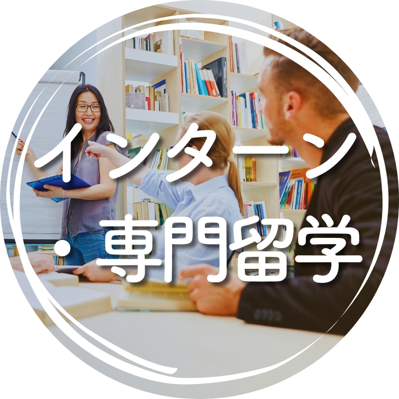 インターン、専門留学