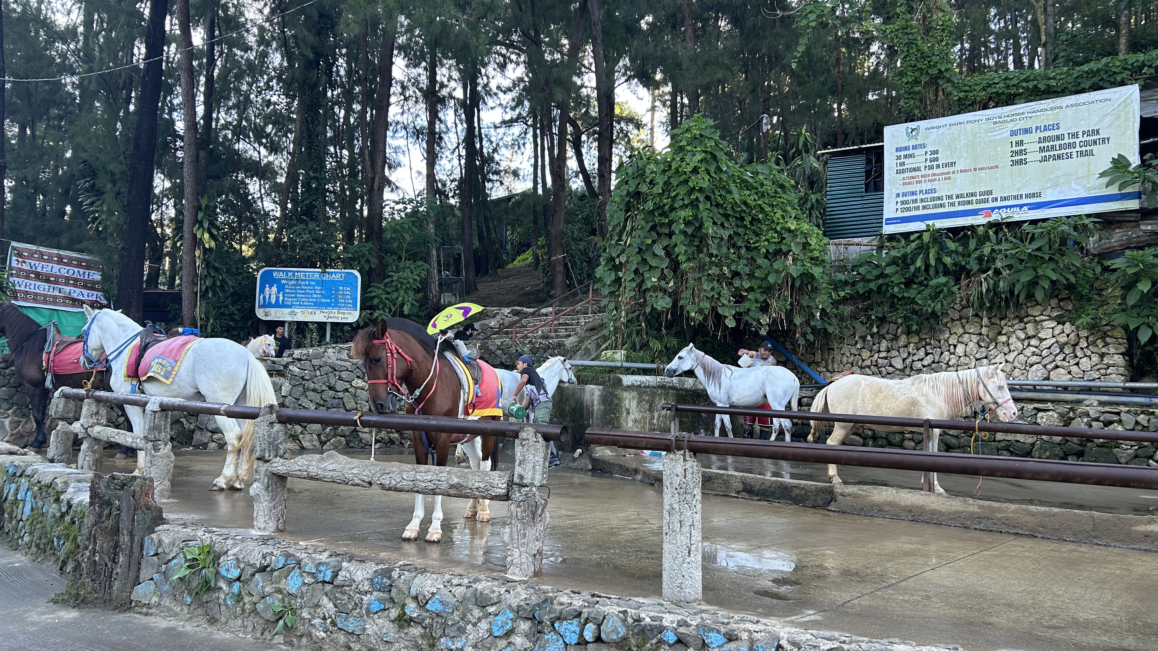 PINESメイン公園（ライトパーク）
