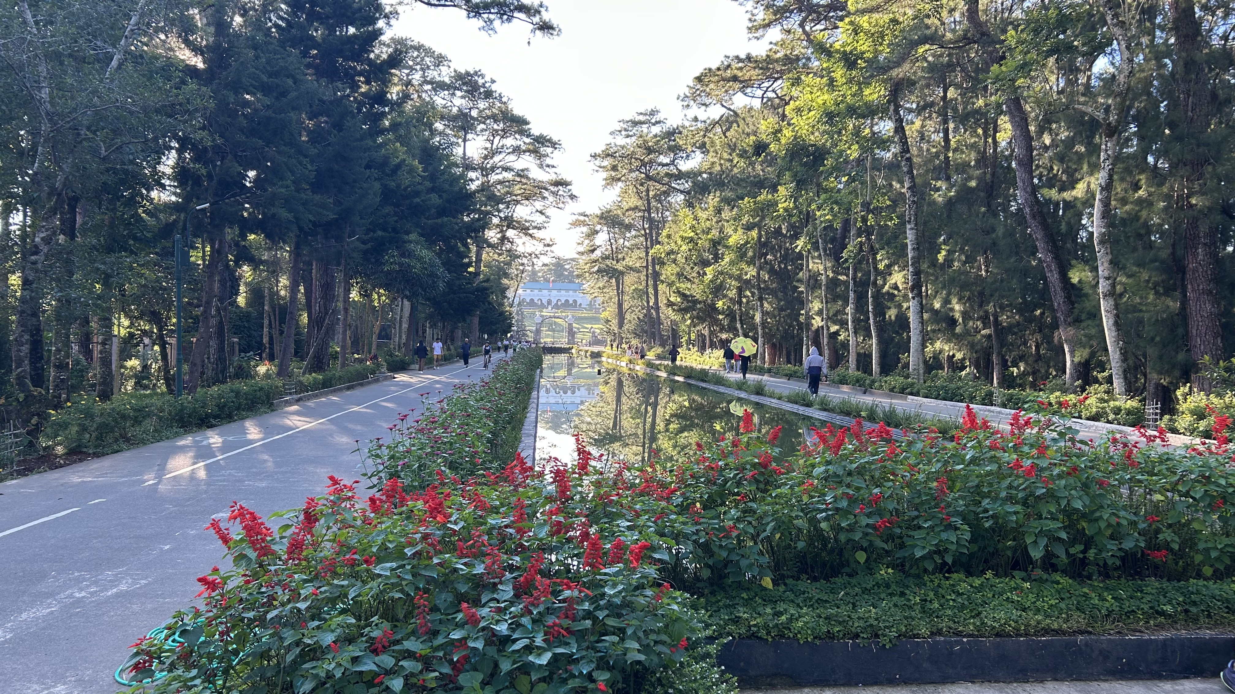 PINESメイン公園（ライトパーク）