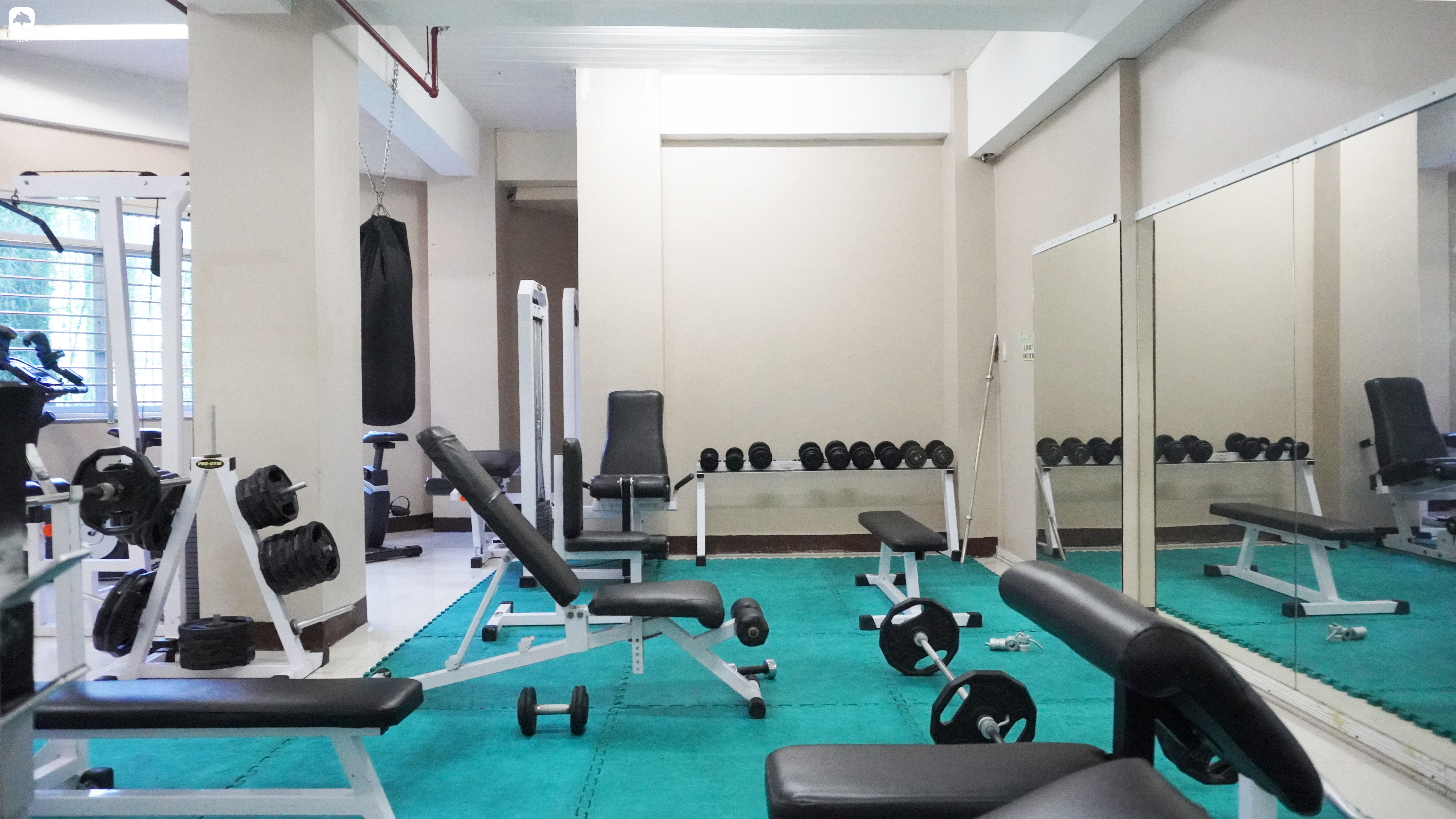 PINES_IELTS_フィットネスジム